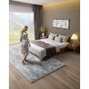 Indoor Plush Area Rugs, 6 x 9 ft Soft Plush Carpet, Furry Shag Area Rugs for Living Room, Bedroom, Modern Home Decor Aesthetic Long-Pile Rug